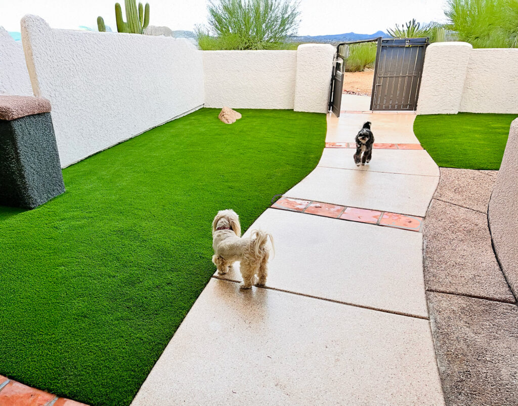 artificial-grass-pet-area